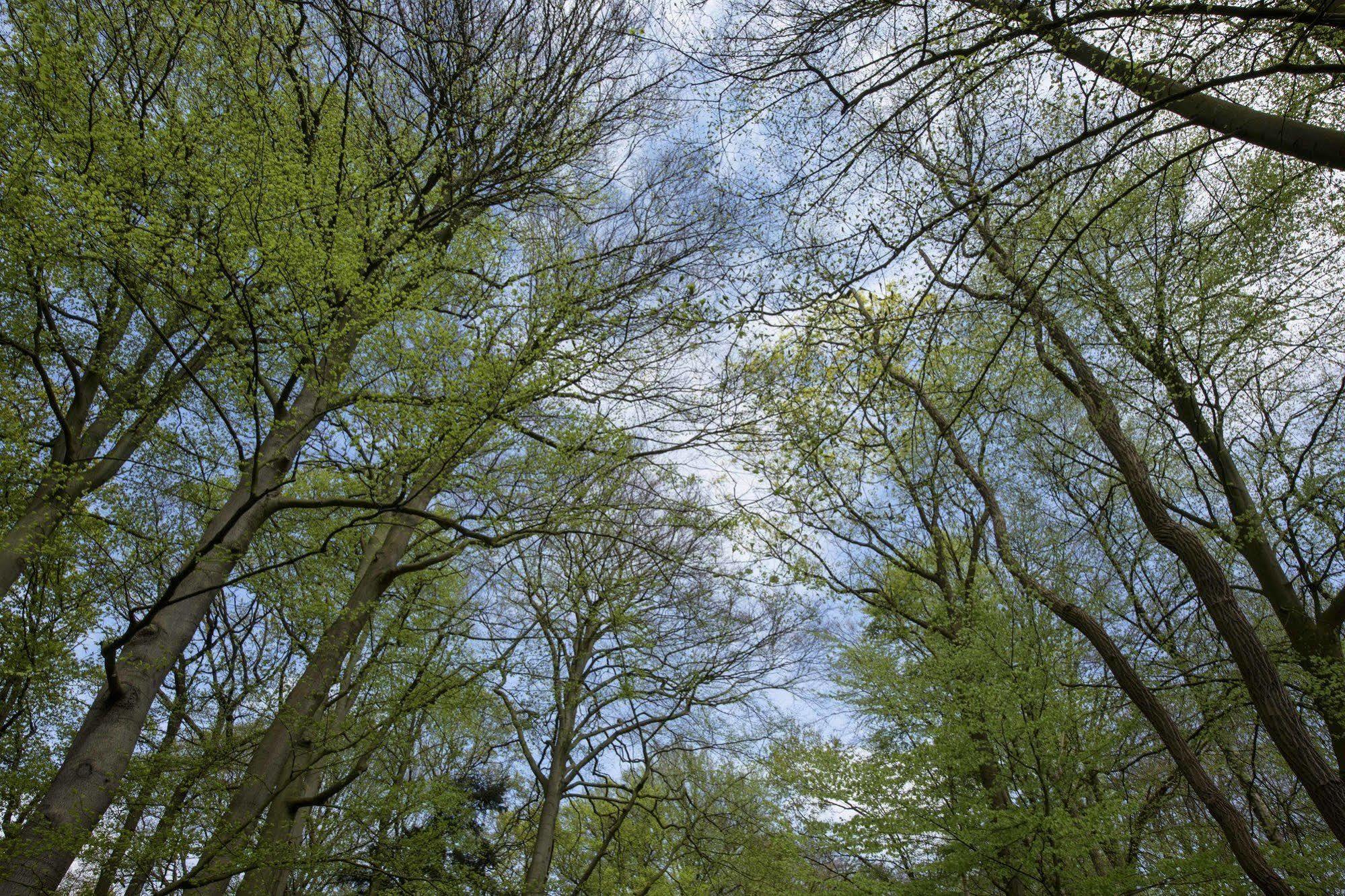 Landgoed De Horst Hotel Driebergen Kültér fotó